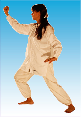 Tai-chi-chuan, ta�-chi-chuan, T'ai Chi Ch'uan, taiji quan, t�ij� qu�n, 太極拳, simpl. 太极拳