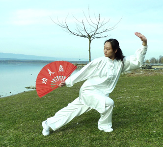 taiji quan ou tai chi chuan