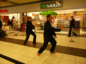 taiji quan 24