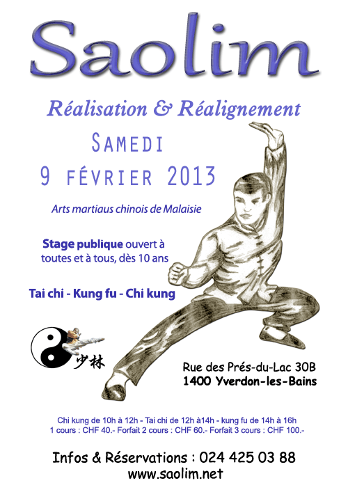 kung fu -tai chi - chi kung