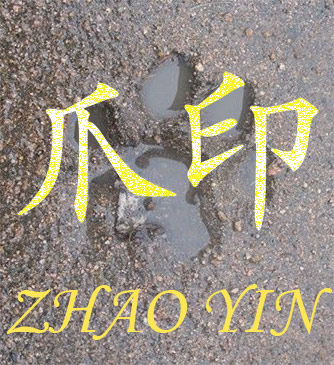 Zhao Yin