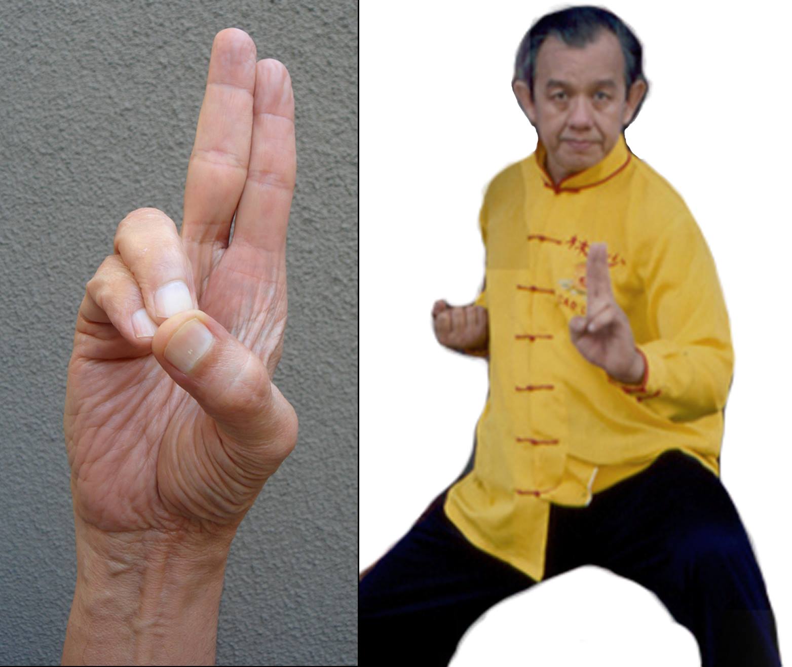 Kung fu symbole