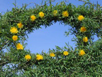 Land art