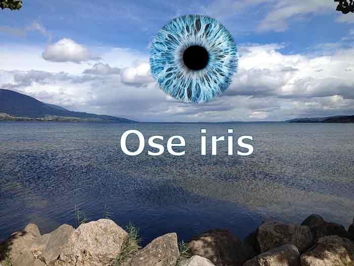 Osiris devenu Aux Iris à Yverdon