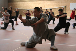 Moines Shaolin